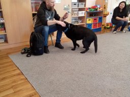 2025-11-19 Pan Konrad i jego pies